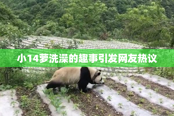 小14萝洗澡的趣事引发网友热议