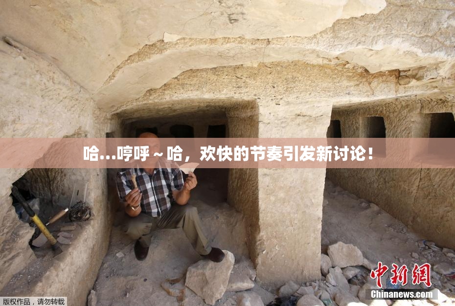 哈…哼呼～哈，欢快的节奏引发新讨论！
