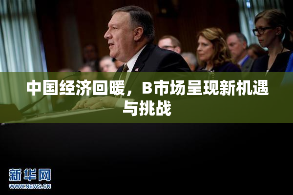 中国经济回暖，B市场呈现新机遇与挑战