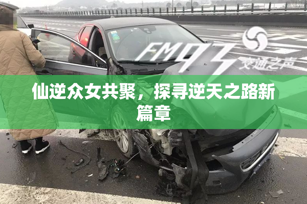 仙逆众女共聚，探寻逆天之路新篇章
