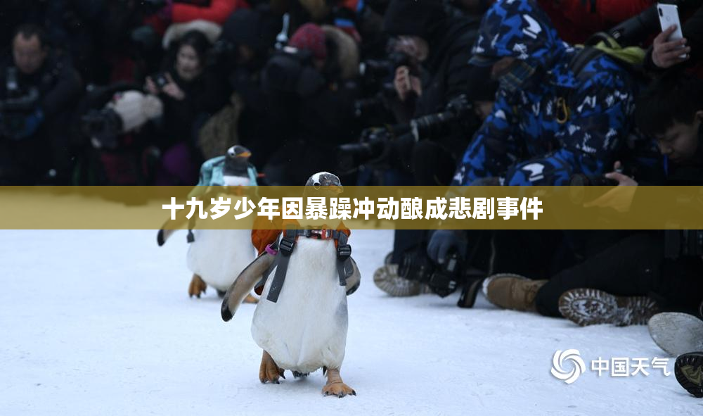十九岁少年因暴躁冲动酿成悲剧事件