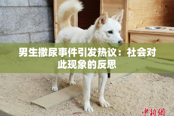 男生撒尿事件引发热议：社会对此现象的反思