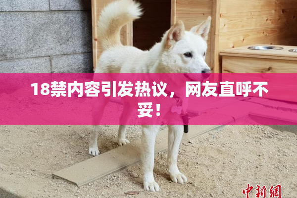 18禁内容引发热议，网友直呼不妥！