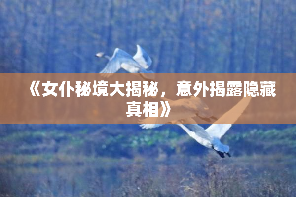 《女仆秘境大揭秘，意外揭露隐藏真相》
