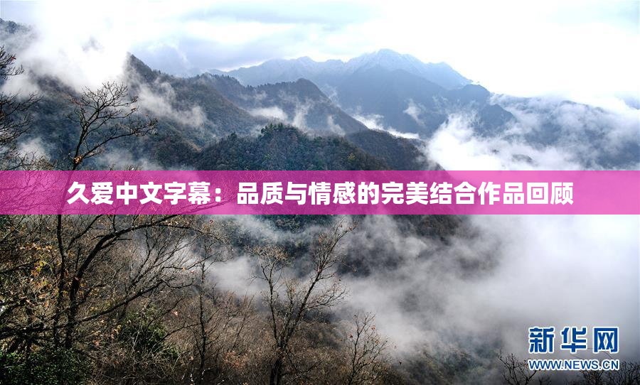久爱中文字幕：品质与情感的完美结合作品回顾