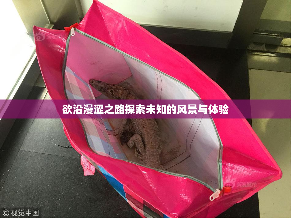 欲沿漫涩之路探索未知的风景与体验