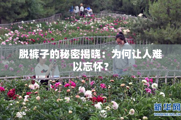 脱裤子的秘密揭晓：为何让人难以忘怀？