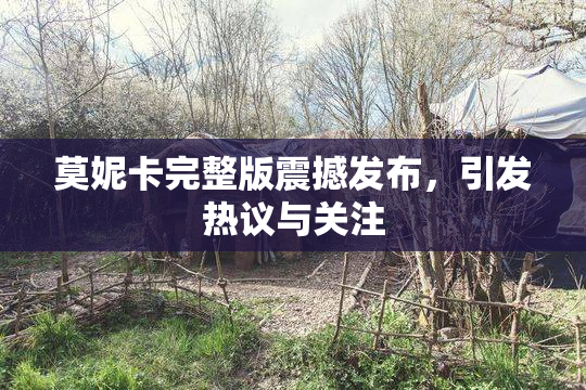 莫妮卡完整版震撼发布，引发热议与关注