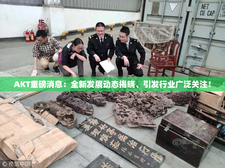 AKT重磅消息：全新发展动态揭晓、引发行业广泛关注！