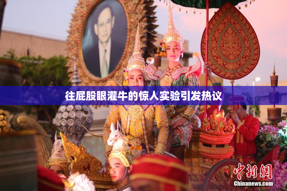 往屁股眼灌牛的惊人实验引发热议