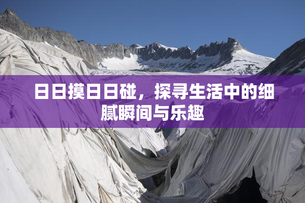 日日摸日日碰，探寻生活中的细腻瞬间与乐趣