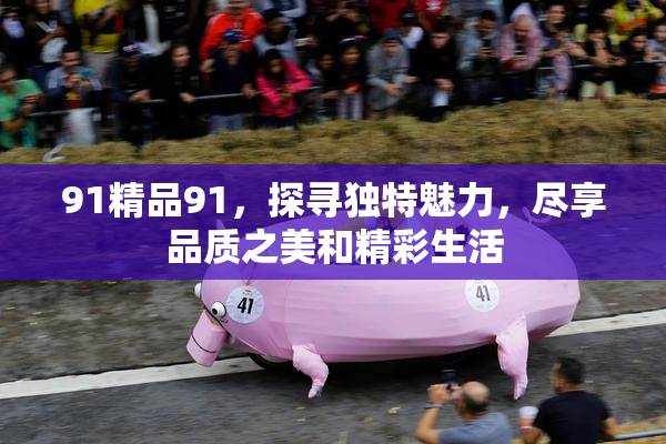 91精品91，探寻独特魅力，尽享品质之美和精彩生活