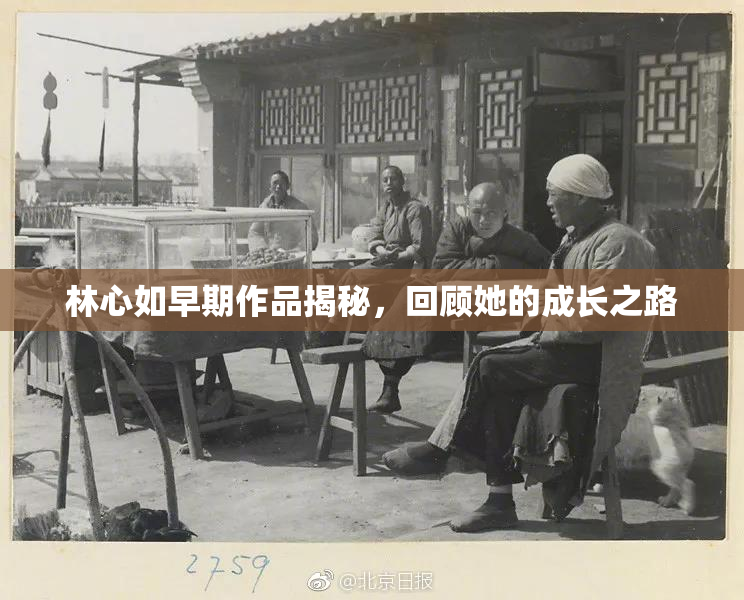 林心如早期作品揭秘，回顾她的成长之路