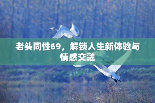 老头同性69，解锁人生新体验与情感交融