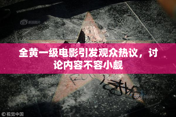 全黄一级电影引发观众热议，讨论内容不容小觑