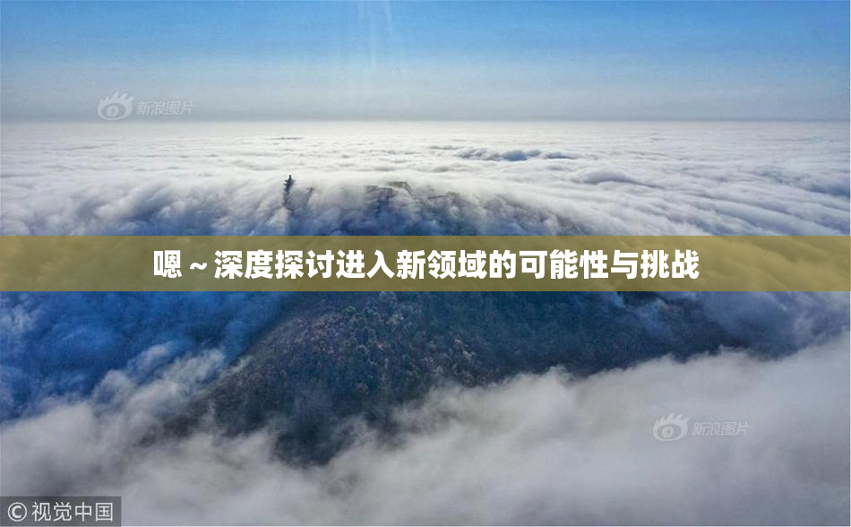 嗯～深度探讨进入新领域的可能性与挑战