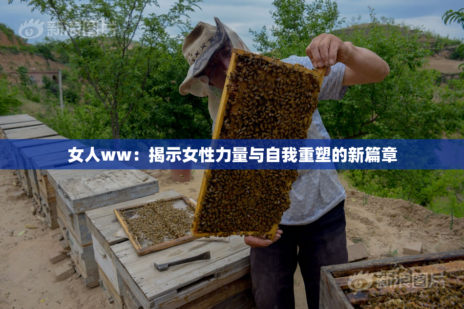 女人ww：揭示女性力量与自我重塑的新篇章
