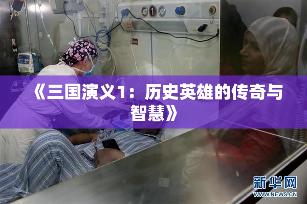《三国演义1：历史英雄的传奇与智慧》
