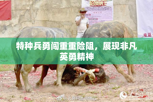 特种兵勇闯重重险阻，展现非凡英勇精神