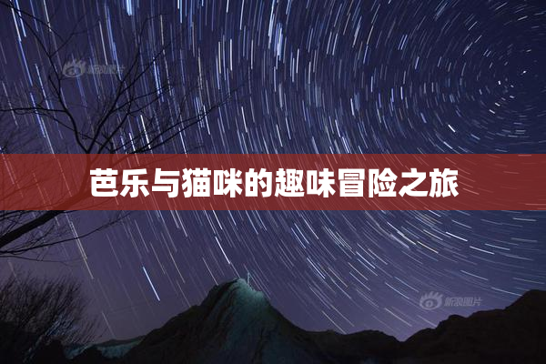 芭乐与猫咪的趣味冒险之旅