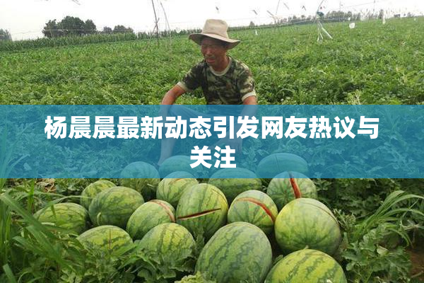 杨晨晨最新动态引发网友热议与关注