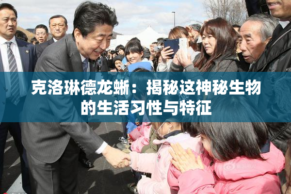 克洛琳德龙蜥：揭秘这神秘生物的生活习性与特征