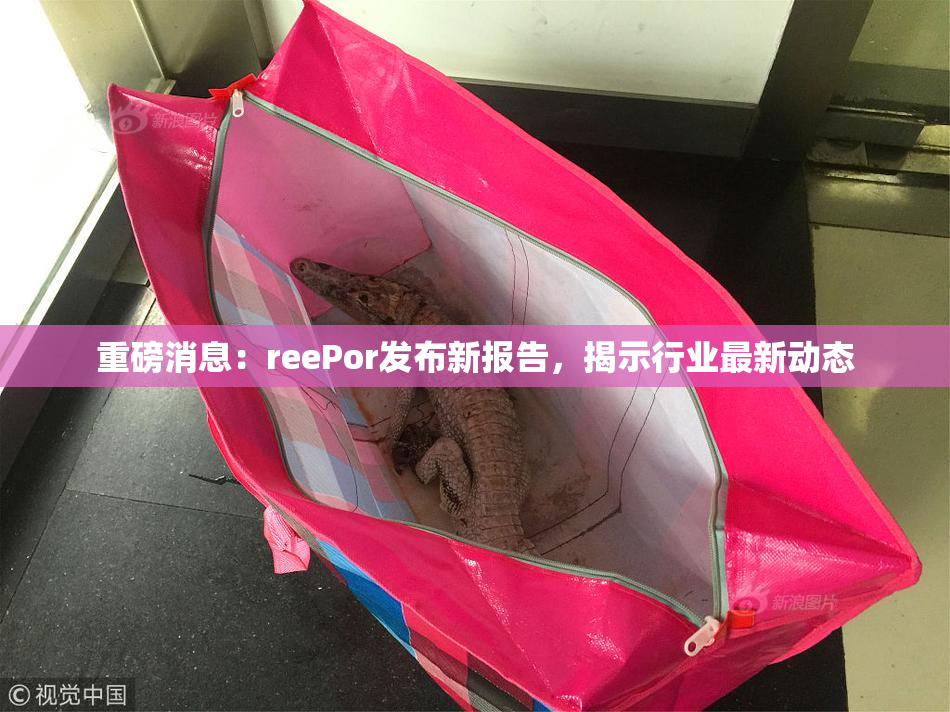 重磅消息：reePor发布新报告，揭示行业最新动态