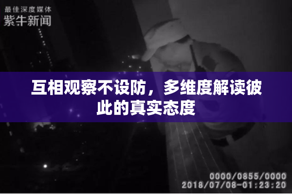 互相观察不设防，多维度解读彼此的真实态度