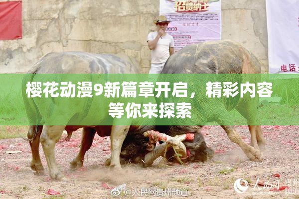 樱花动漫9新篇章开启，精彩内容等你来探索