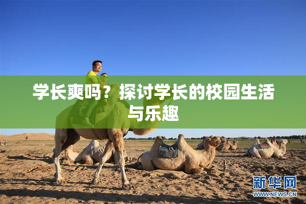 学长爽吗？探讨学长的校园生活与乐趣