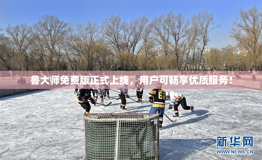 鲁大师免费版正式上线，用户可畅享优质服务！