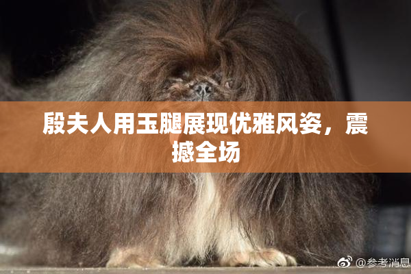 殷夫人用玉腿展现优雅风姿，震撼全场