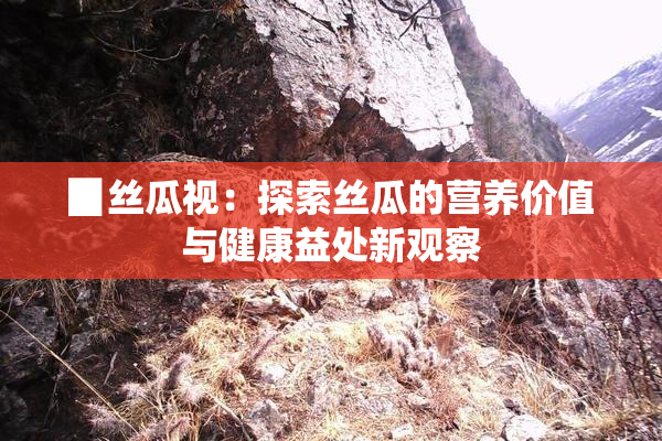 ▉丝瓜视：探索丝瓜的营养价值与健康益处新观察
