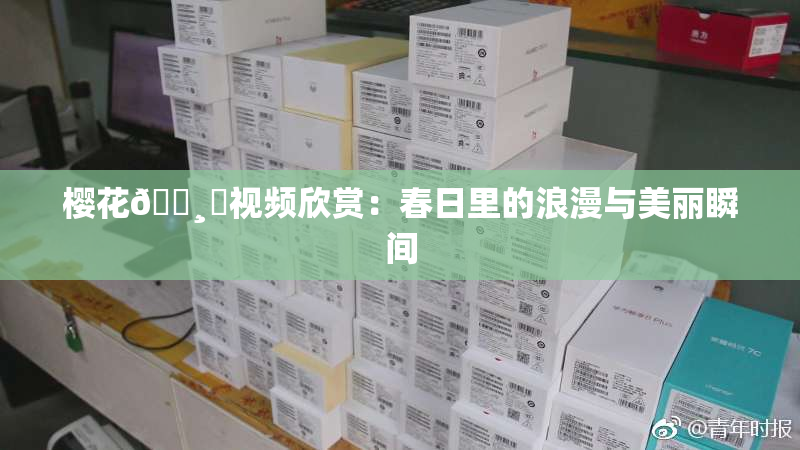 樱花🌸‌视频欣赏：春日里的浪漫与美丽瞬间