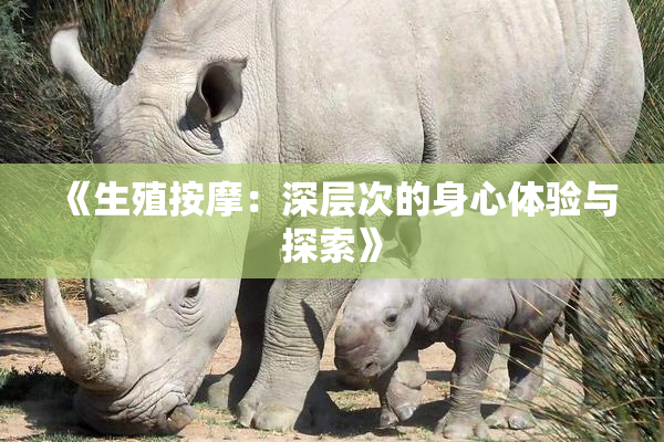 《生殖按摩：深层次的身心体验与探索》