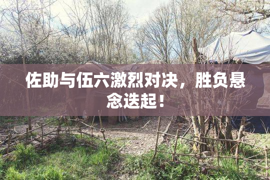 佐助与伍六激烈对决，胜负悬念迭起！