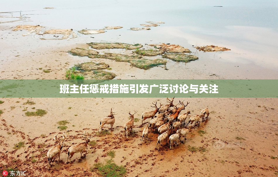 班主任惩戒措施引发广泛讨论与关注