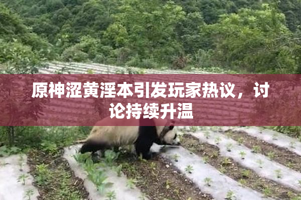 原神涩黄淫本引发玩家热议，讨论持续升温