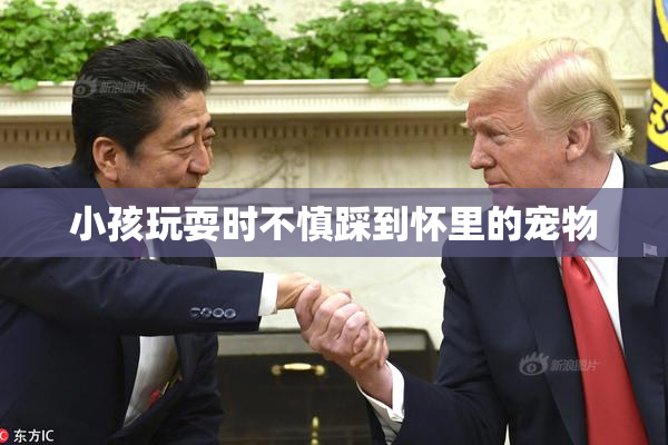 小孩玩耍时不慎踩到怀里的宠物