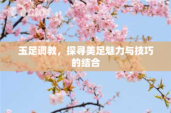 玉足调教，探寻美足魅力与技巧的结合