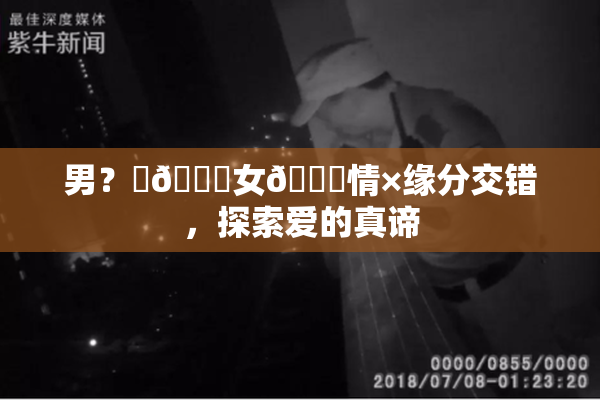 男？‌🍌女🍑情×缘分交错，探索爱的真谛