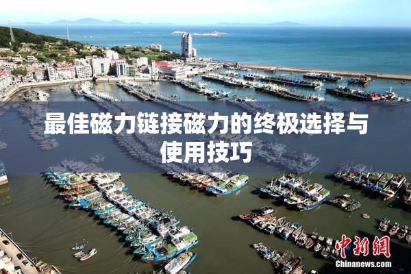 最佳磁力链接磁力的终极选择与使用技巧