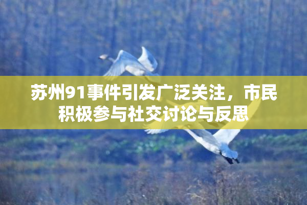 苏州91事件引发广泛关注，市民积极参与社交讨论与反思