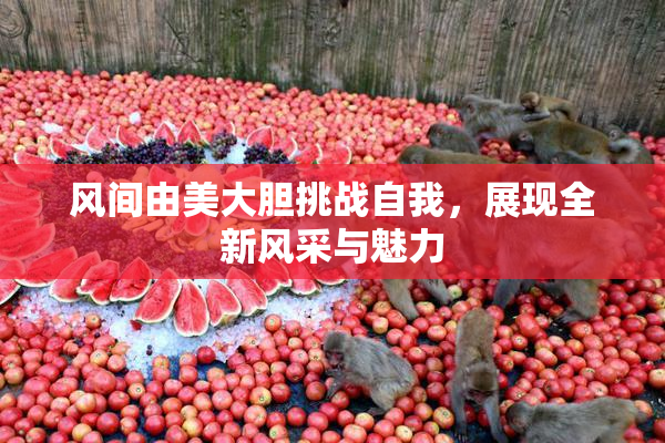 风间由美大胆挑战自我，展现全新风采与魅力
