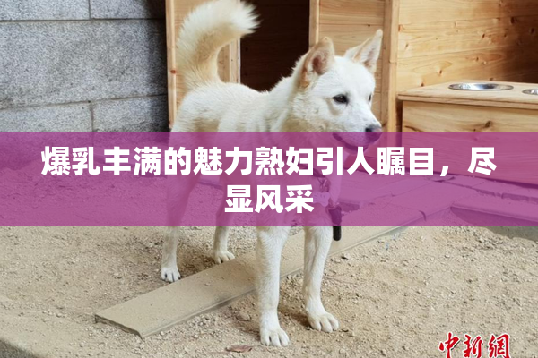 爆乳丰满的魅力熟妇引人瞩目，尽显风采