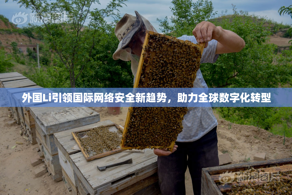 外国Li引领国际网络安全新趋势，助力全球数字化转型