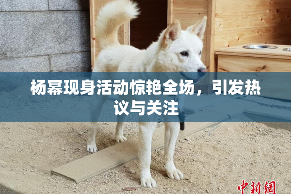 杨幂现身活动惊艳全场，引发热议与关注