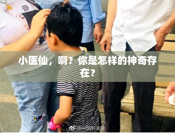 小医仙，啊？你是怎样的神奇存在？
