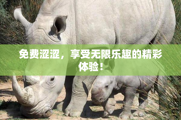 免费涩涩，享受无限乐趣的精彩体验！