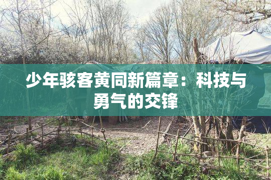 少年骇客黄同新篇章：科技与勇气的交锋